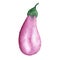 Illustration of watercolor vegetable eggplant purple on a white background