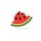 Illustration of watermelon freshness nature