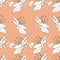 Illustration white contour flowers on a delicate peach background