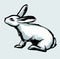 Illustration. A white rabbit on an isolated background. Drawing in the style of a careless retro sketch by hand.
