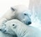 Illustration Winter Warmth: Adorable Polar Bear Couple Hugging in the Snow