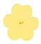 The illustration of a yellow flower of garden balsamine Impatiens parviflora. Drawing - Vector - Cartoon.
