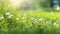 Illustration of young juicy green green grass with white dandelions. Macro, bokeh, sunlight.