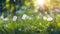 Illustration of young juicy green green grass with white dandelions. Macro, bokeh, sunlight.