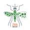 Illustration of zika virus transmission by aedes mosquito. Vector design concept for zika virus outbreak.