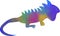 The illustrations and clipart. Vector image. The colorful Iguana
