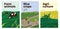Illustrations of farm animals, rice crops, agriculture