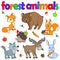 Illustrations with forest animals, bright animals on a white background