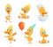 Illustrations of funny duck. Vector cartoon animals in action poses