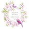 Illustrations with Japanese blossom pink sakura and birds with p