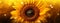 An illustrative banner showcasing a close-up of a blooming sunflower with intricate details, capturing the radiant beauty and