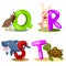 Illustrator alphabet animal LETTER - q,r,s,t
