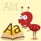 Illustrator of A for Ant vocabulary