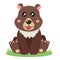 Illustrator of bear animal cute