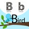 Illustrator of bird with a font