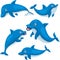 Illustrator of cute dolphin