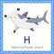 Illustrator of H for hammerhead shark animal