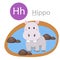 Illustrator of H for Hippo animal
