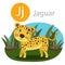 Illustrator of J for jaguar animal