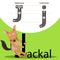 Illustrator of jackal with j font