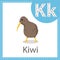 Illustrator of Kiwi bird education for kid