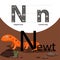 Illustrator of newt with n font