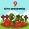 Illustrator of number nine strawberries