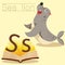 Illustrator of S for Sea lion vocabulary