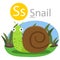 Illustrator of S for snail animal
