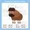 Illustrator of Worksheet body parts yak animal