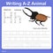 Illustrator of writing a - z animal h hercules beetle