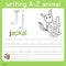 Illustrator of writing a-z animal j