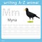 Illustrator of writing a-z animal m myna