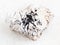 Ilmenite black crystals on raw stone on white