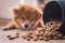 An image of adorable brown dog is looking to a pile of dog food pellet