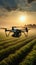 Image Aerial view drone flying over agricultural fields, analyzing during sunrise