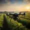 Image Aerial view drone flying over agricultural fields, analyzing during sunrise