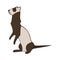 Image of alert ferret on white background. Cute vector illustration. Design element. Simple image of ferret for design of