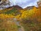 An image of Arrow Gorge near historic gold mining town Arrowtown in the Otago region of the South Island of New Zealand.