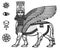 Image of the Assyrian mythical deity Shedu: a winged bull with the head of the person.