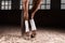 Image of the bandaged hooves of a thoroughbred horse. Competition preparation concept