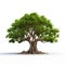 Image of banyan tree on white background. Nature. Illustration, Generative AI