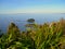 An image of Bay Of Plenty view from Mount Maunganui New Zealand