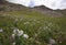 Image of beautiful Colorado mountain landscape