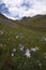 Image of beautiful Colorado mountain landscape