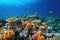 Image of beautiful corals and fish under the sea. Sea animals. Illustration, Generative AI