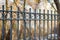 Image of a Beautiful decorative cast iron wrought fence with artistic forging. Metal guardrail close up.