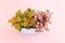 image of beautiful fittonia plants over pastel pink background