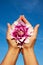 Image of beautiful flower in woman hands
