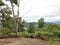 Image of beautiful green landscape from peak Bukit Merah Karambunai,Sabah.